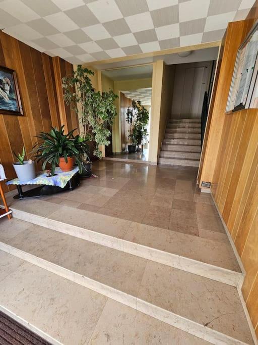 Charmant Appartement Moderne 71M2 A Illzach - Mulhouse - Parking Gratuit Buitenkant foto