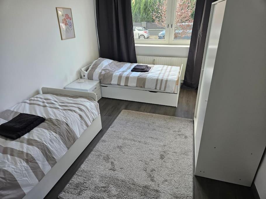 Charmant Appartement Moderne 71M2 A Illzach - Mulhouse - Parking Gratuit Buitenkant foto